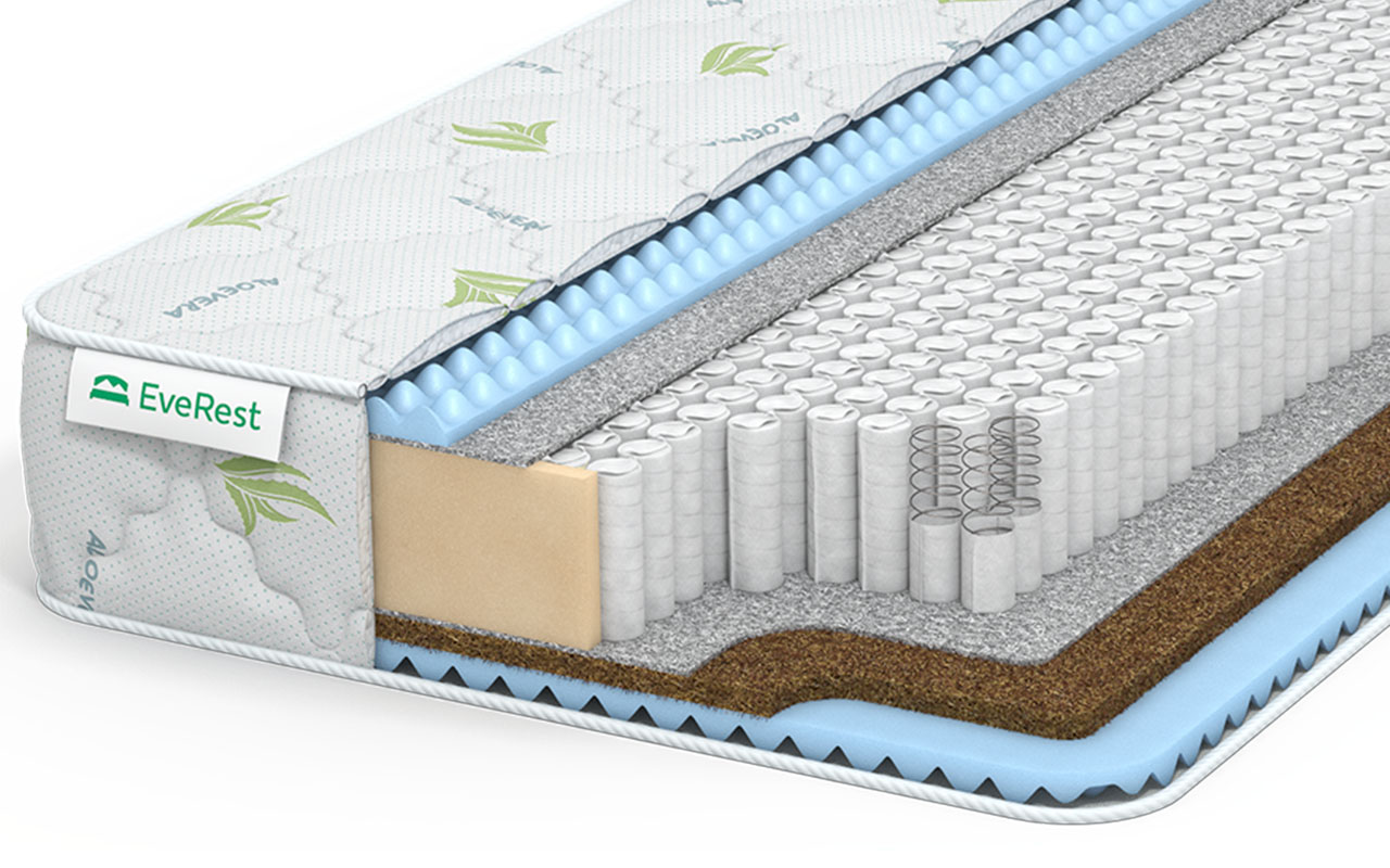 Эверест Ту-Вэй Массаж бикокос S1000 фото 2